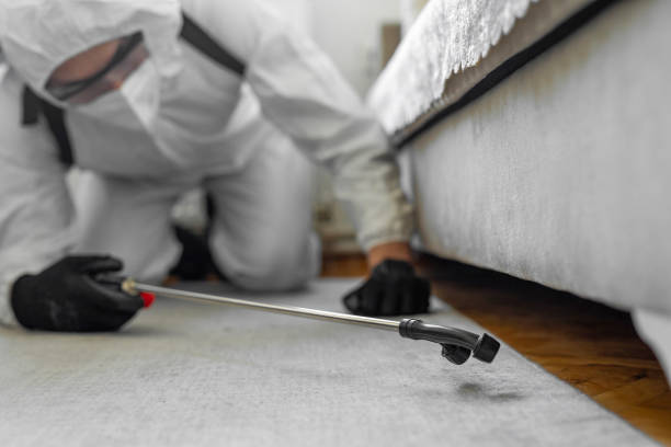 Professional Termite Control technician working in Battle Ground, WA